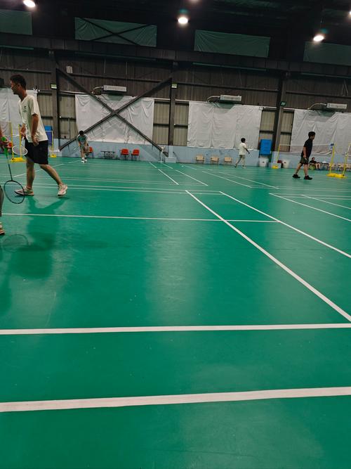 明星球员 明星球员