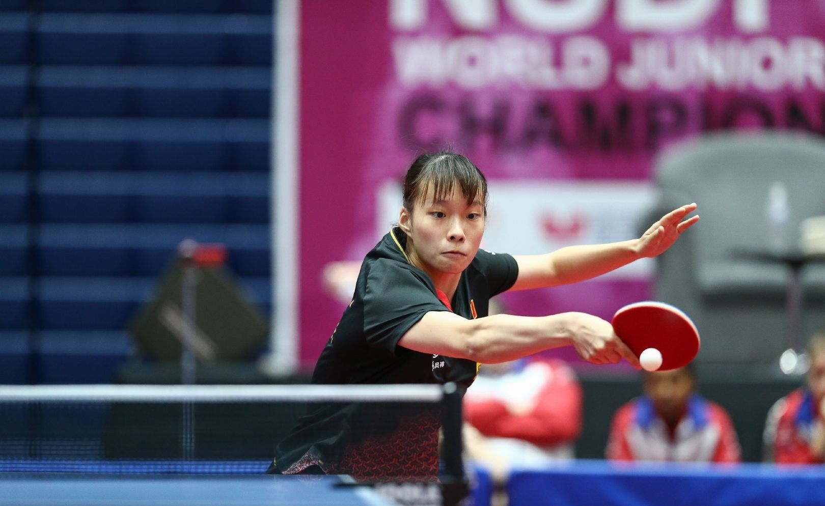 未来前景展 未来前景展